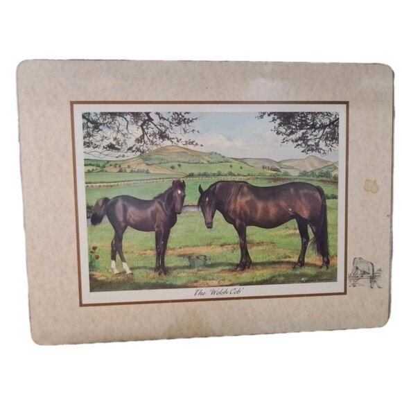 Pimpernel Set Of Four Equestrian Themed Cork Backed Placements 16x12 - Picture 5 of 9